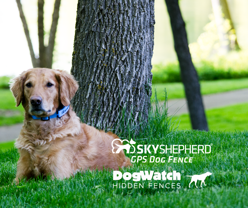 Safe Retrieve teams up with DogWatch® and its Dealer network to offer SkyShepherd®, a wearable GPS Dog Fence, to pet parents seeking a comprehensive GPS containment solution.