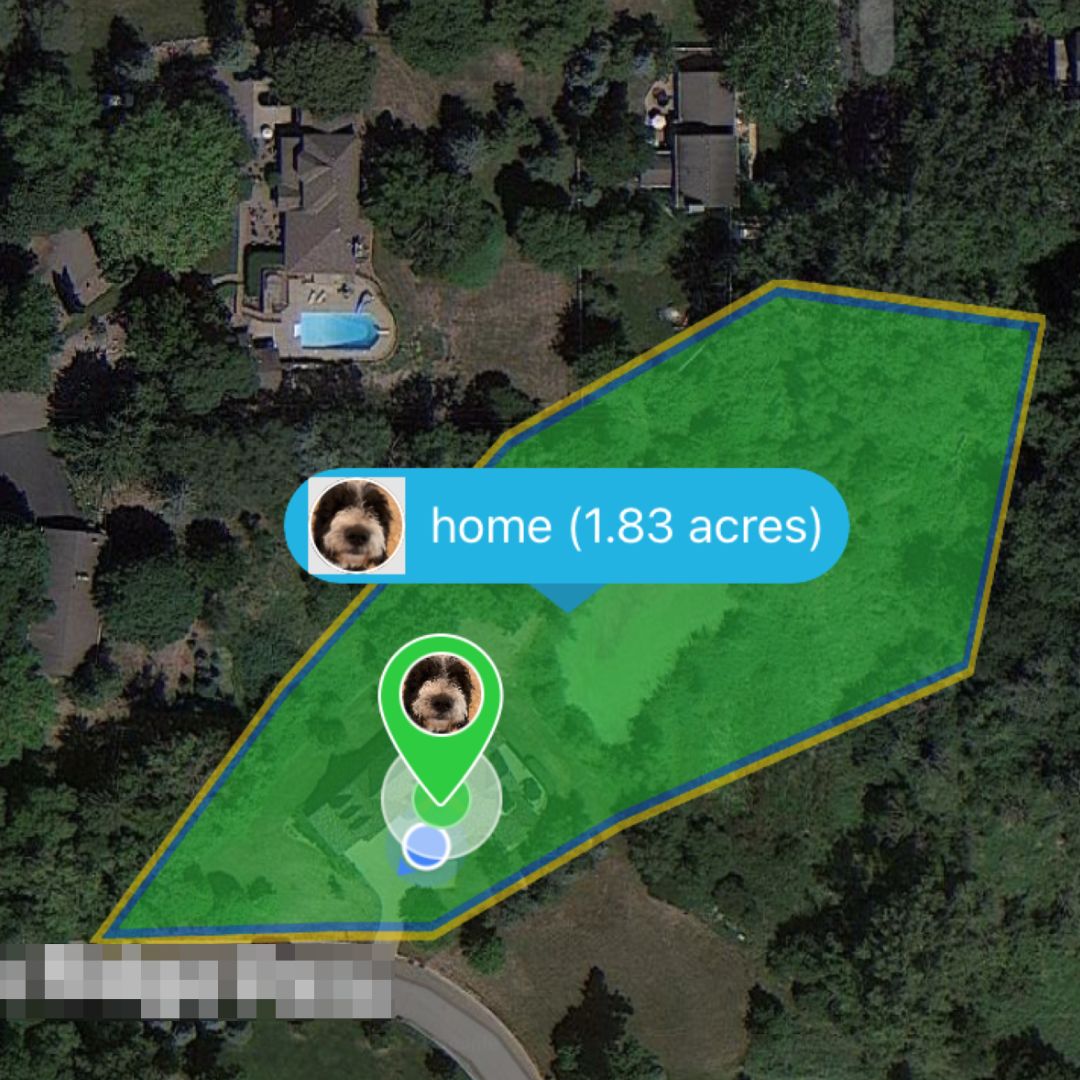 Corrective Dog Training Made Easy with SkyShepherd
