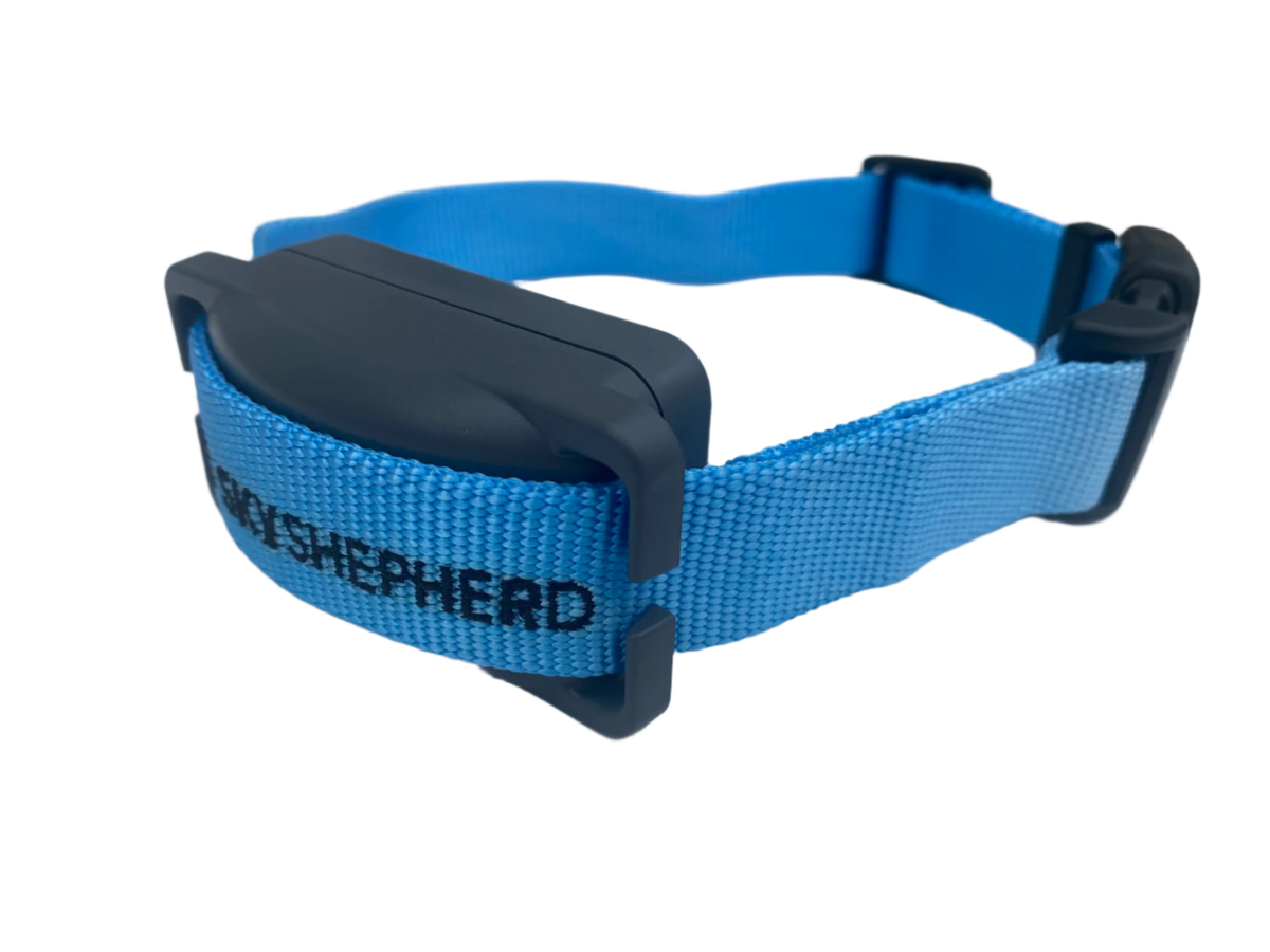 Smart Dog Collar GPS Tracking Health Monitor – SATELLAI
