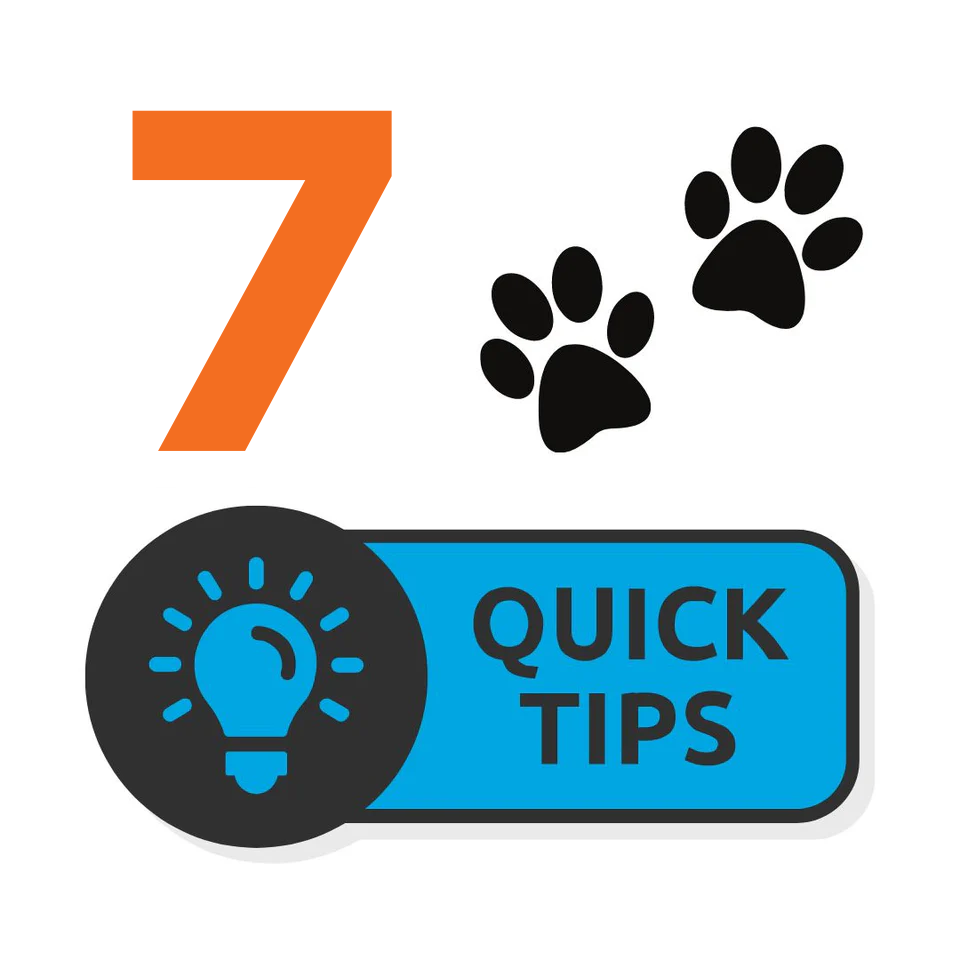 Top 7 new dog tips for a smooth transition