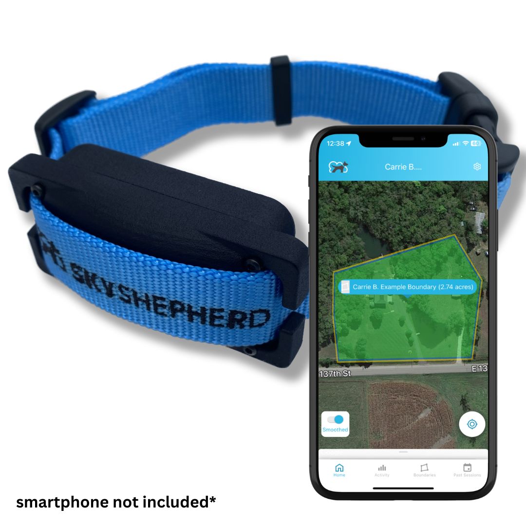 Why does a smart fence dog collar make a pawfect present this holiday season?