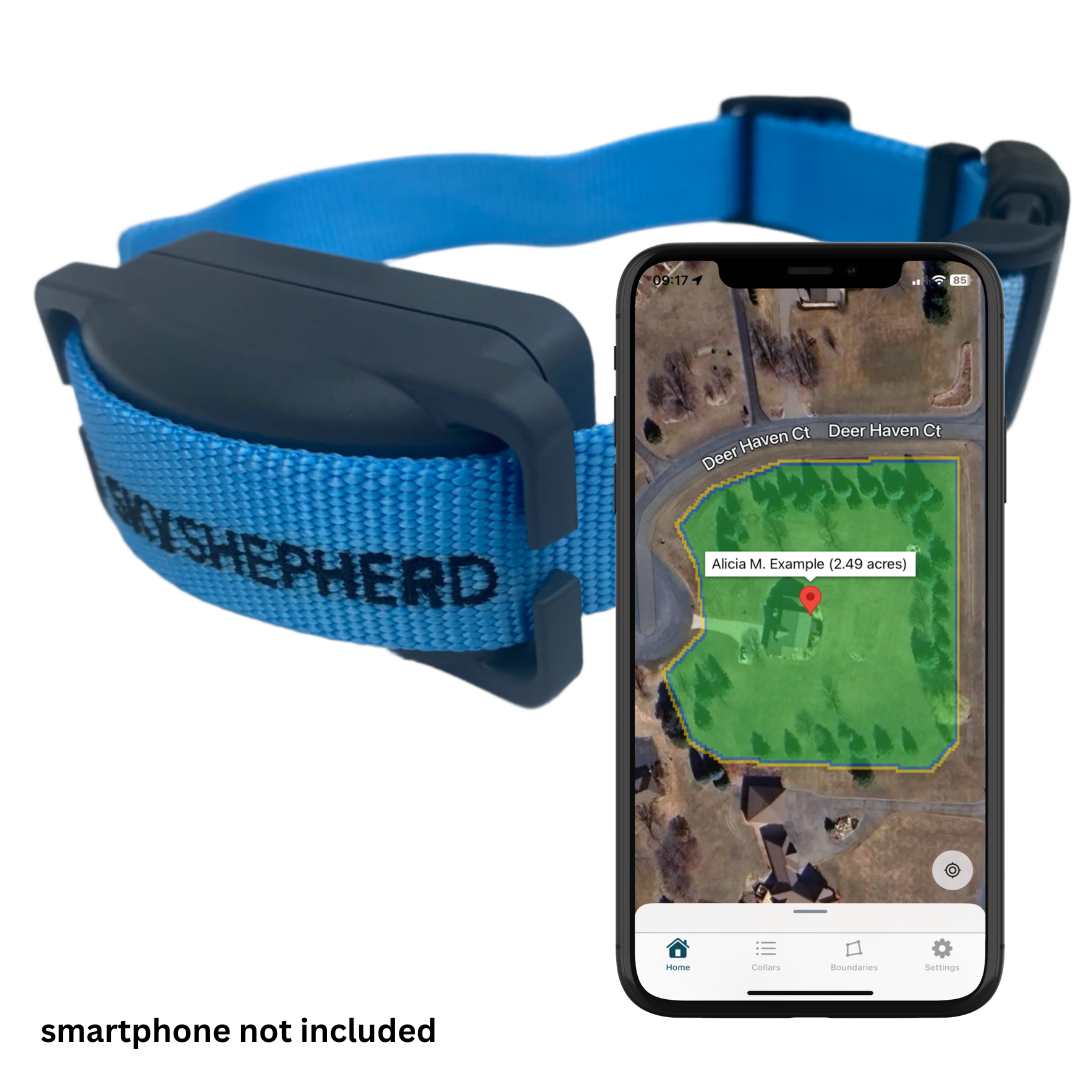 Why does a smart fence dog collar make a pawfect present this holiday season?