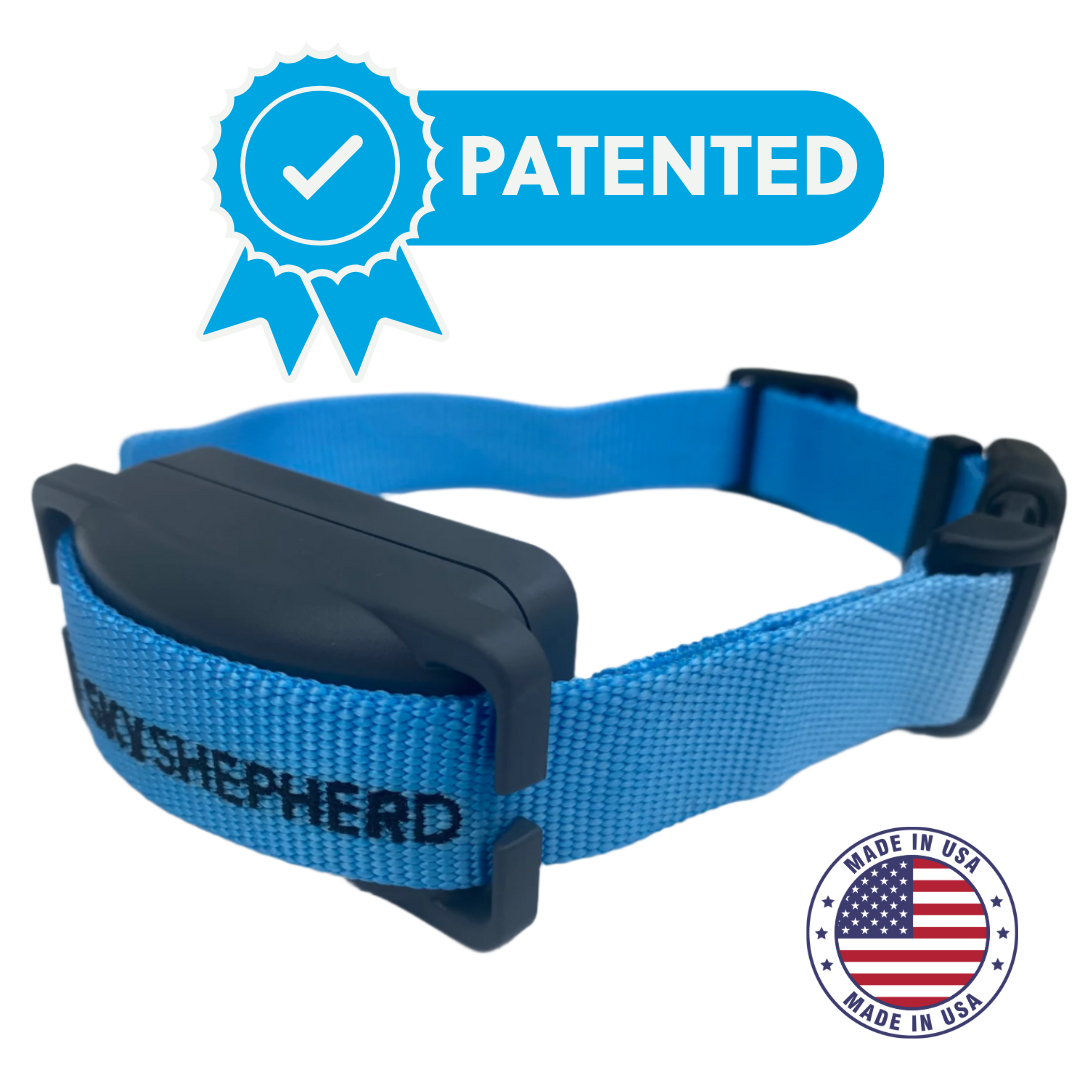 The Best GPS Dog Fence Collar: SkyShepherd