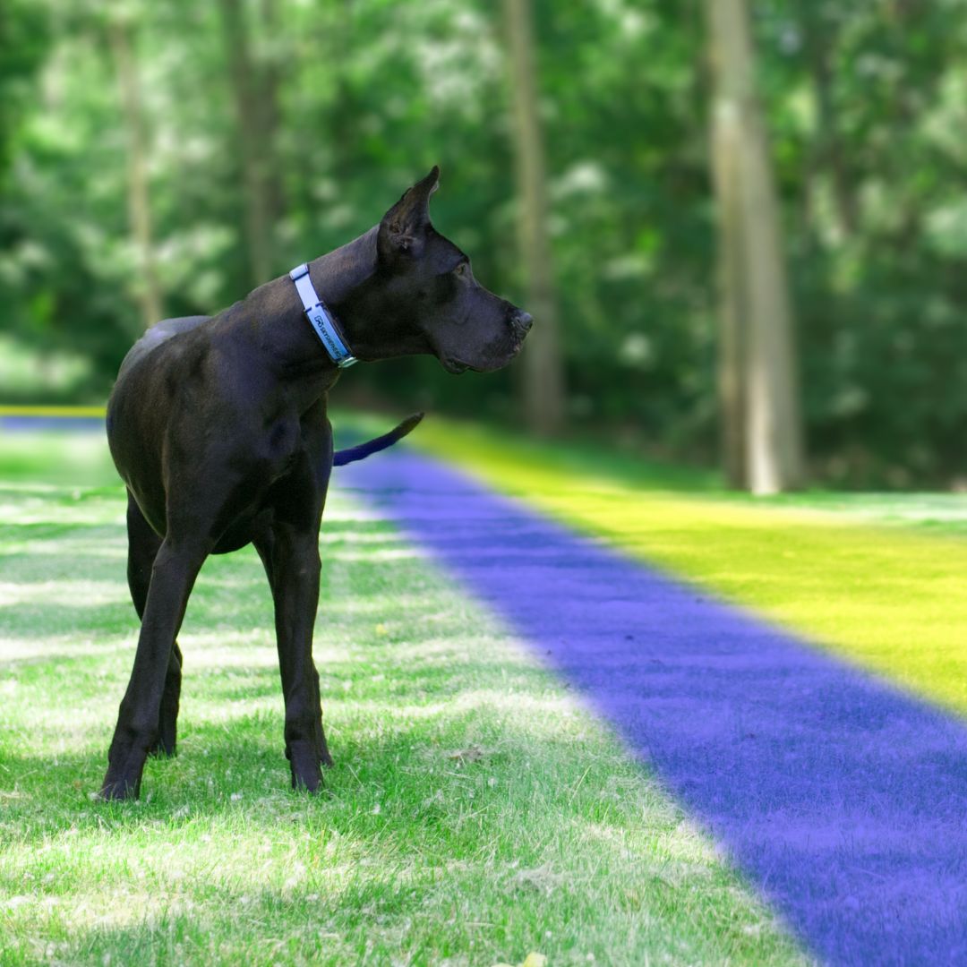 Why Minnesota is Perfect for GPS Containment on Larger Properties