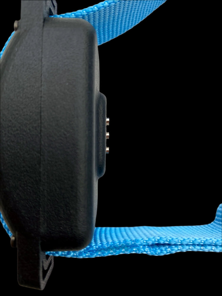 The SkyShepherd collar unit is seen from the top profile, but vertical to the scene. The low-profile metal contact points of the patented SkyShepherd contact grid can been in how little they protrude from the collar unit plastic case body. This stands in contrast to traditional two-prong designs, and is better for avoiding hot spots and pressure points on dogs.