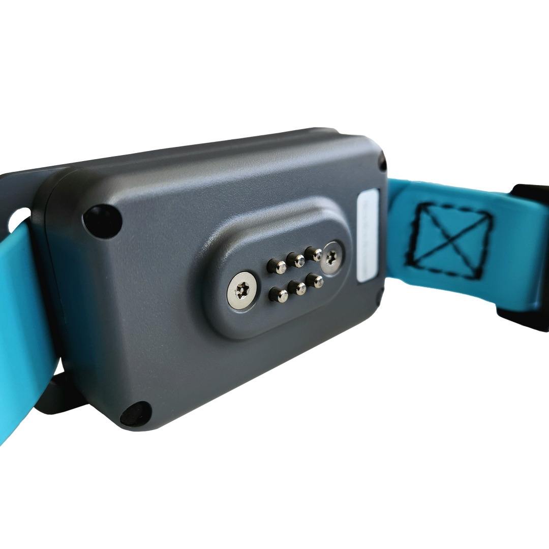 SkyShepherd gray plastic GPS collar unit is shown at an oblique angle, highlighting the low-profile, skin-safe, metal contact grid. A blue one-size-fits-all collar strap is attached to the collar unit.