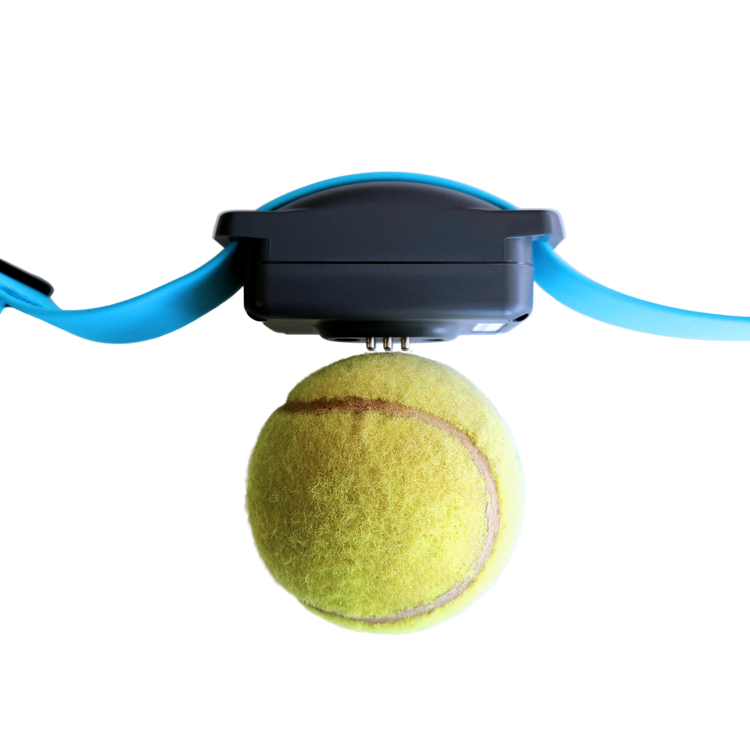 A standard tennis ball sits next the SkyShepherd GPS collar unit. The tennis ball can easily be compared in size to the GPS unit, and the GPS unit is smaller.