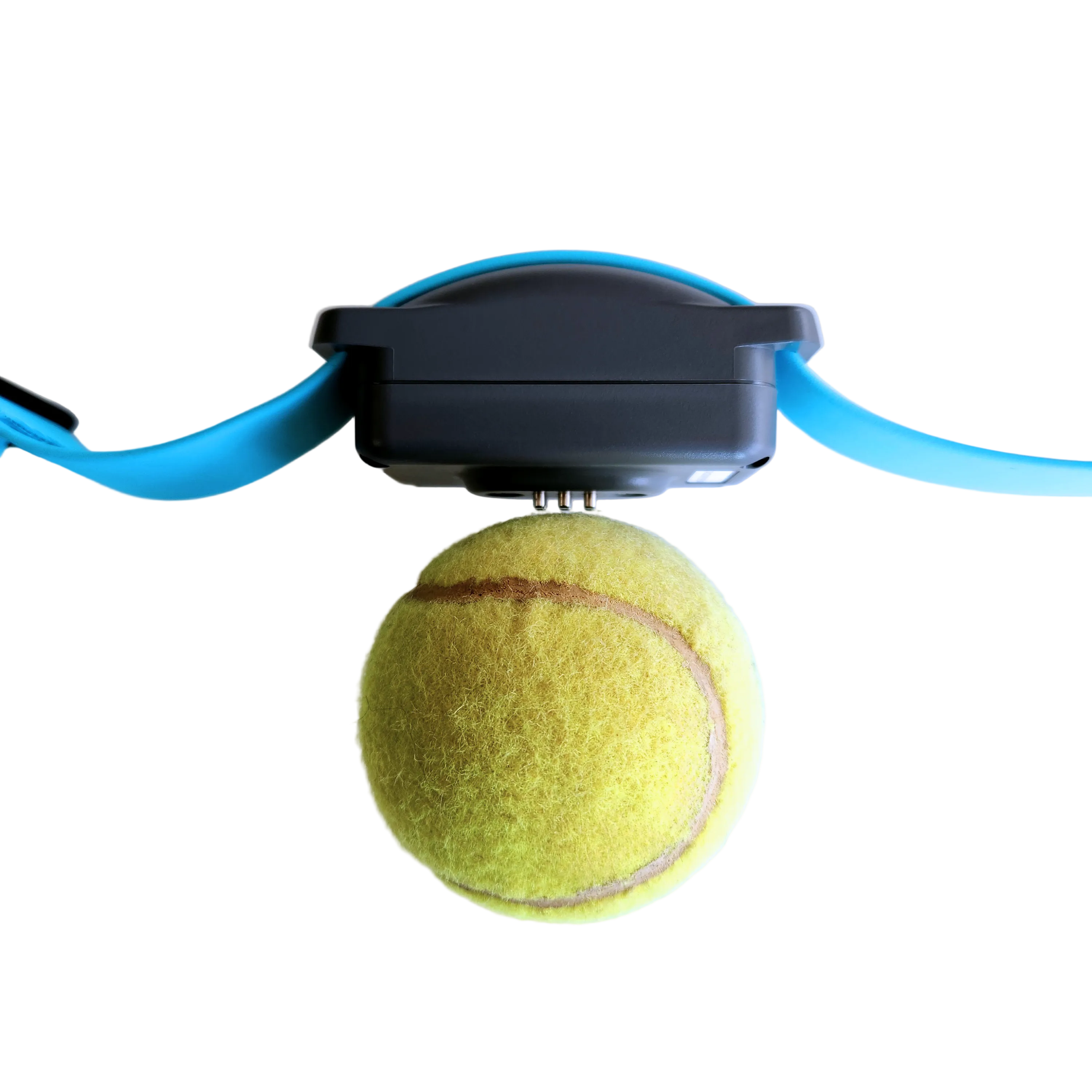 A standard tennis ball sits next the SkyShepherd GPS collar unit. The tennis ball can easily be compared in size to the GPS unit, and the GPS unit is smaller.