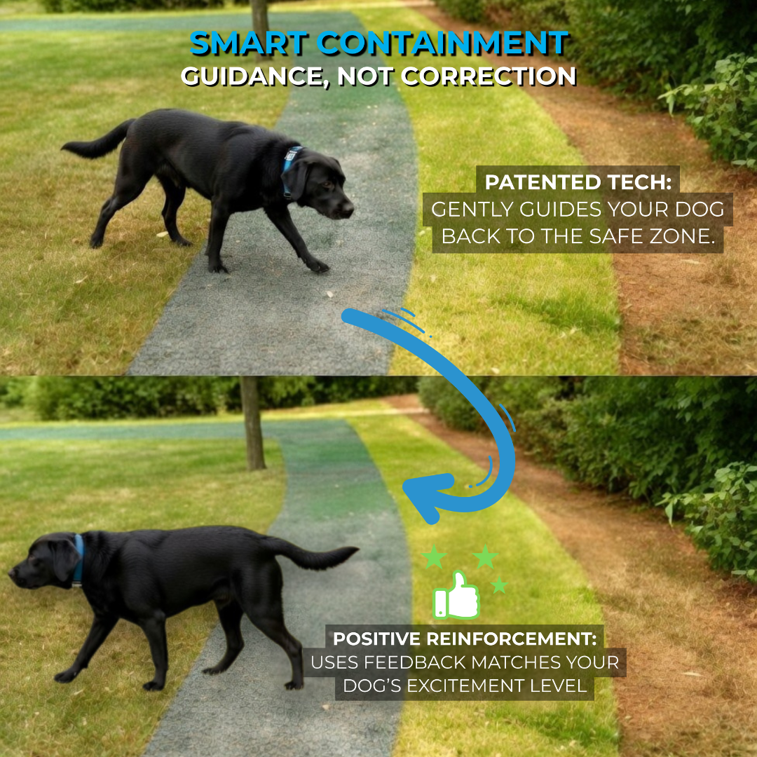SkyShepherd GPS Dog Fence Containment Collar