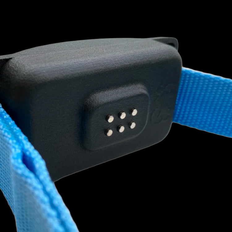 The SkyShepherd GPS collar unit is shown from the back side, showcasing the six, low-profile metal contact points that deliver some guidance feedback. It is apparent how little the contact points protrude from the plastic body of the case. This stands in contrast to traditional two-prong systems. SkyShepherd's contact grid greatly reduces the risk of hot-spots and pressure points associated with traditional pronged collars.