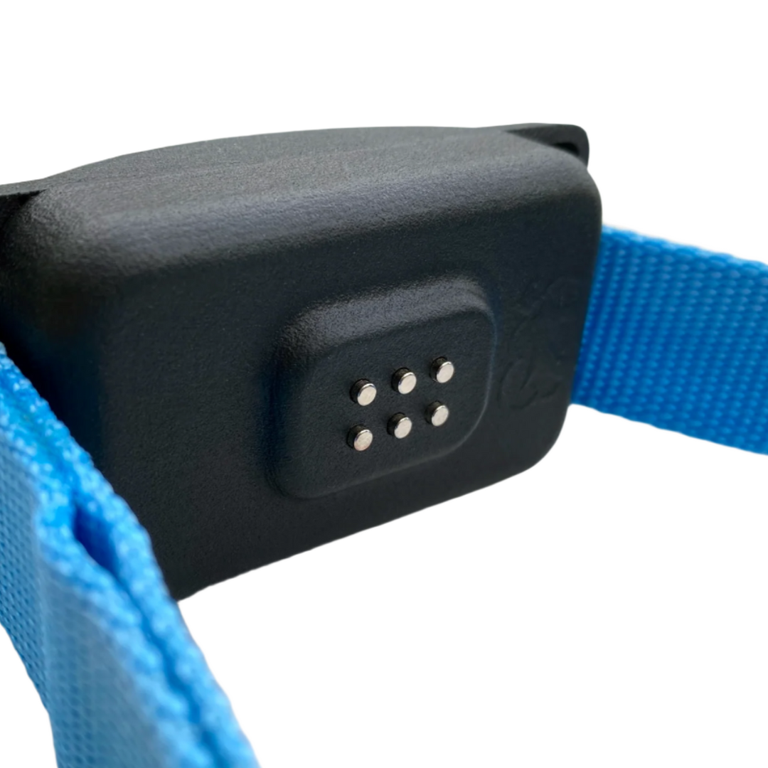 The SkyShepherd GPS collar unit is shown from the back side, showcasing the six, low-profile metal contact points that deliver some guidance feedback. It is apparent how little the contact points protrude from the plastic body of the case. This stands in contrast to traditional two-prong systems. SkyShepherd's contact grid greatly reduces the risk of hot-spots and pressure points associated with traditional pronged collars.