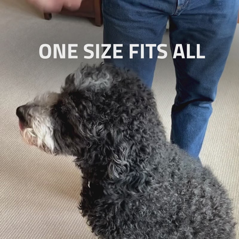 SkyShepherd GPS Dog Fence Containment Collar